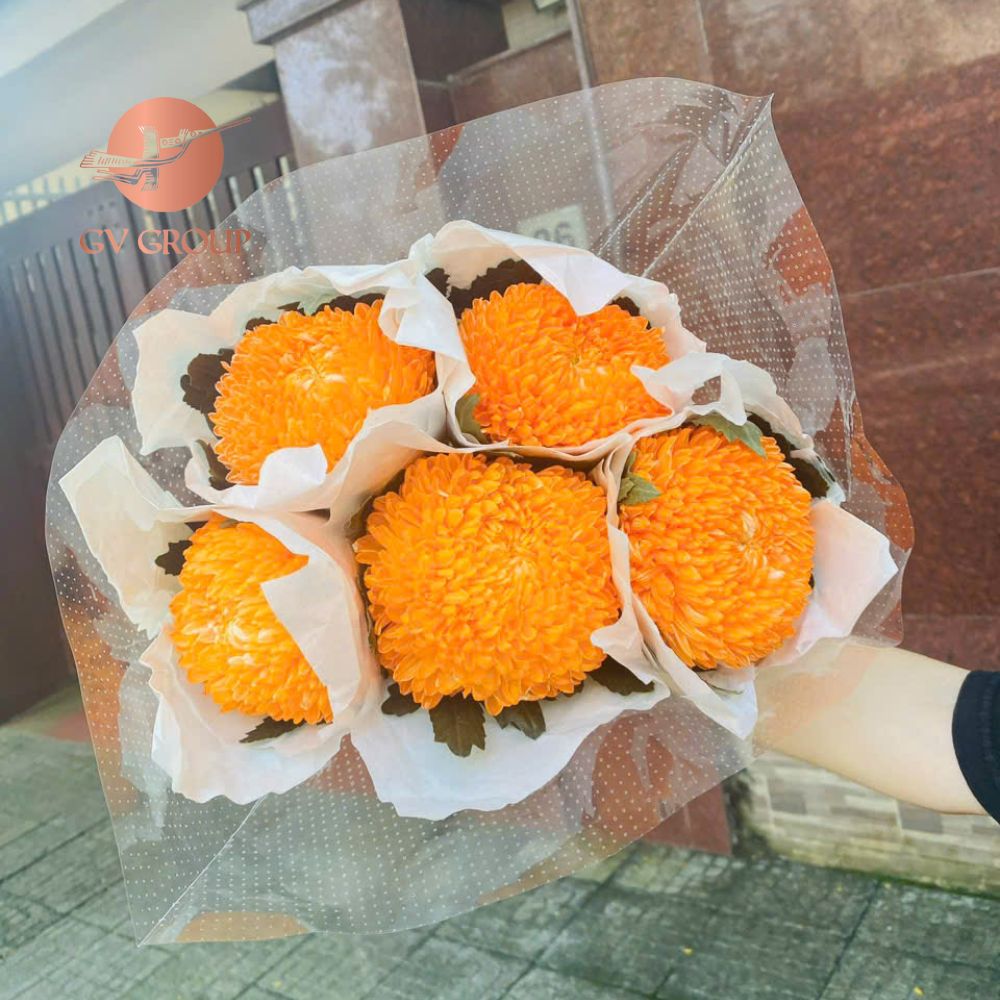 Hoa cúc mẫu đơn cam